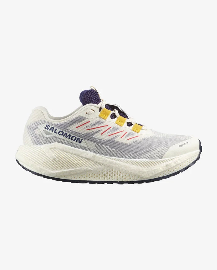 Salomon Women’s Aero Blaze 3 Gravel GTX